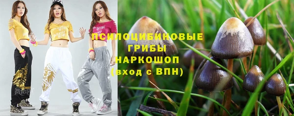 спайс Вяземский