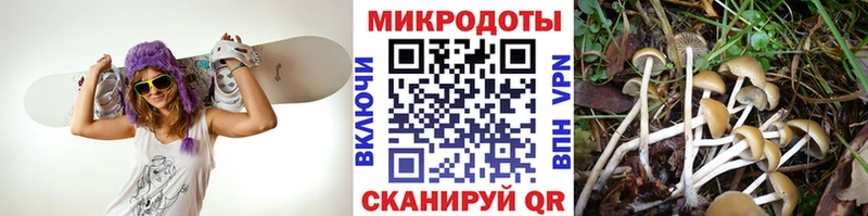 Купить где  Углегорск  Псилоцибиновые грибы GOLDEN TEACHER 